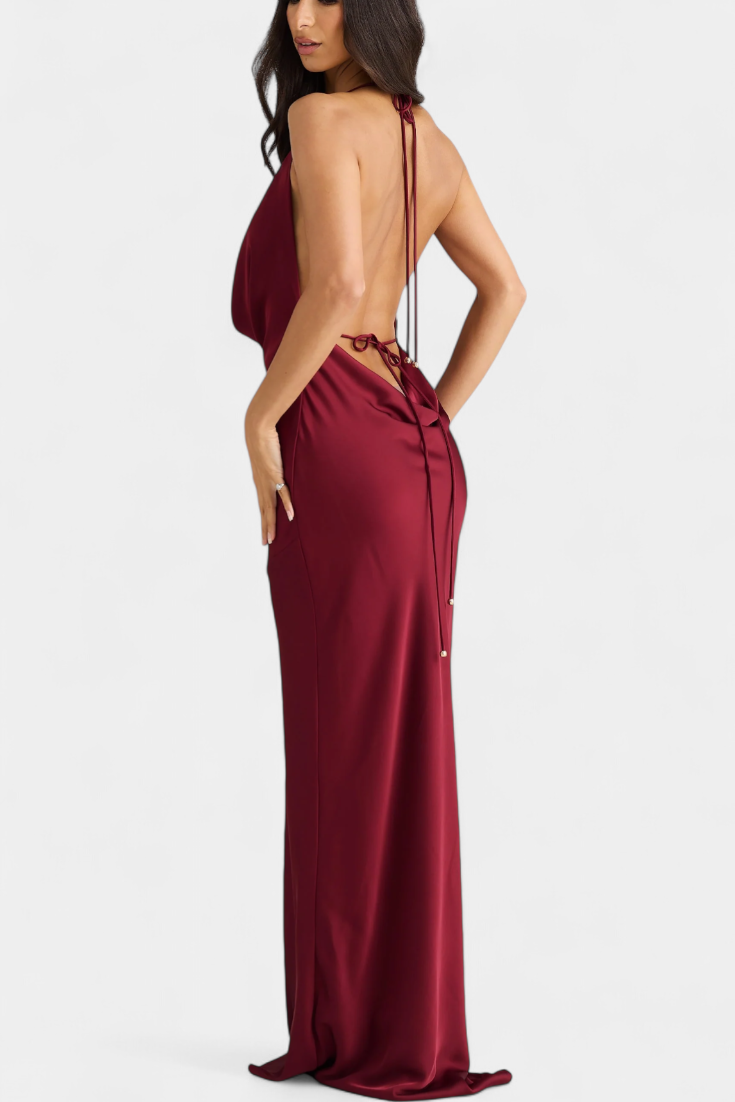 Nora Elegantna Haljina s Nabranim Detaljima